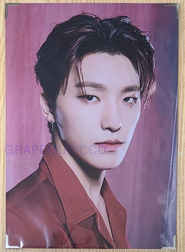SEVENTEEN POWER OF LOVE OFFICIAL GOODS PREMIUM PHOTO NEW - 第 9/9 張圖片