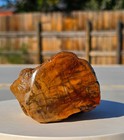 AZ Rainbow Petrified Wood, 1.43 Lbs, Jasperized, Polished Colorful Display! — photo 2