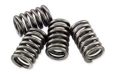 EBC - CSK131 - CSK Clutch Spring Kit 26-7950 15-17131 7501-347 168228 ebcCSK131