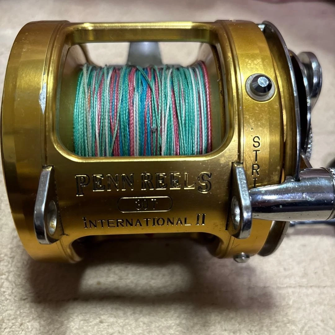 Penn International 50 | eBay