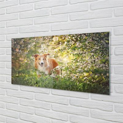 Tulup Acrylglas 140x70 Wandkunst Hund Waldblumen