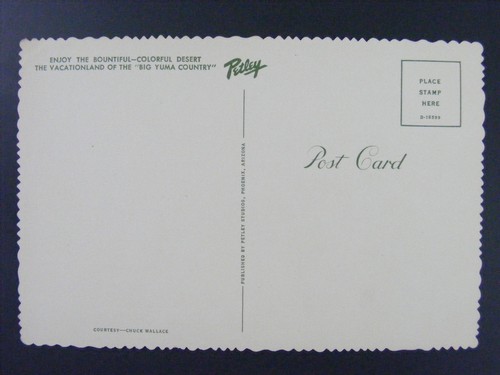 Tarjeta postal continental vintage de monumentos de Yuma Arizona dibujos animados años 50 - Imagen 2 de 2