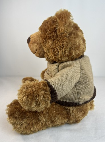 GUND Little Brown Bear #4054069 Peluche Bloomingdale’s Esclusivo CONDIZIONI ECCELLENTI - Foto 6 di 13