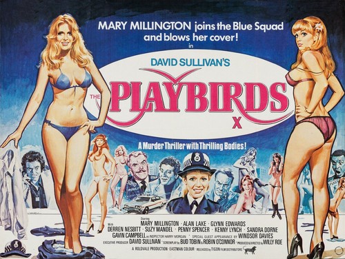 PLAYBIRDS 1978 UK quad poster print 30x40" MARY MILLINGTON ALAN LAKE FREE P&P
