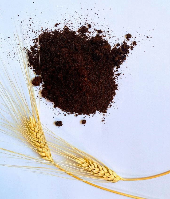 Polvo de vainilla orgánico FairTrade Madagascar grado A - Beneficios caridad Foto 2 de 4