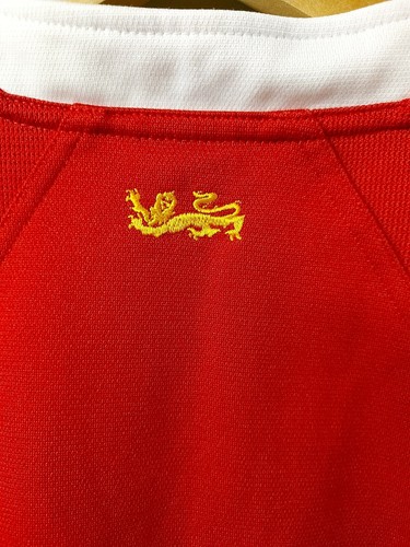 British & Irish Lions 2005 Shirt (jersey, red, adidas) Size Small - Picture 9 of 11