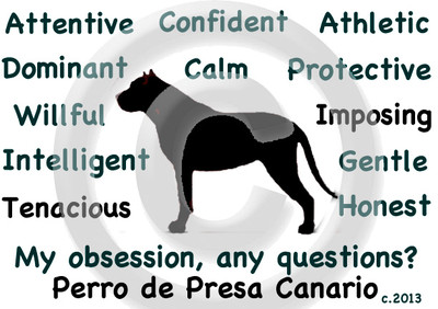 Dogo Canario Perro de Presa Dog My Obsession, Any Questions? T-shirt Choices