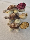 Turtles Stacked Pyramid Cowrie Shells Seashells Beach Art Straw Hats, Glasses — photo 6
