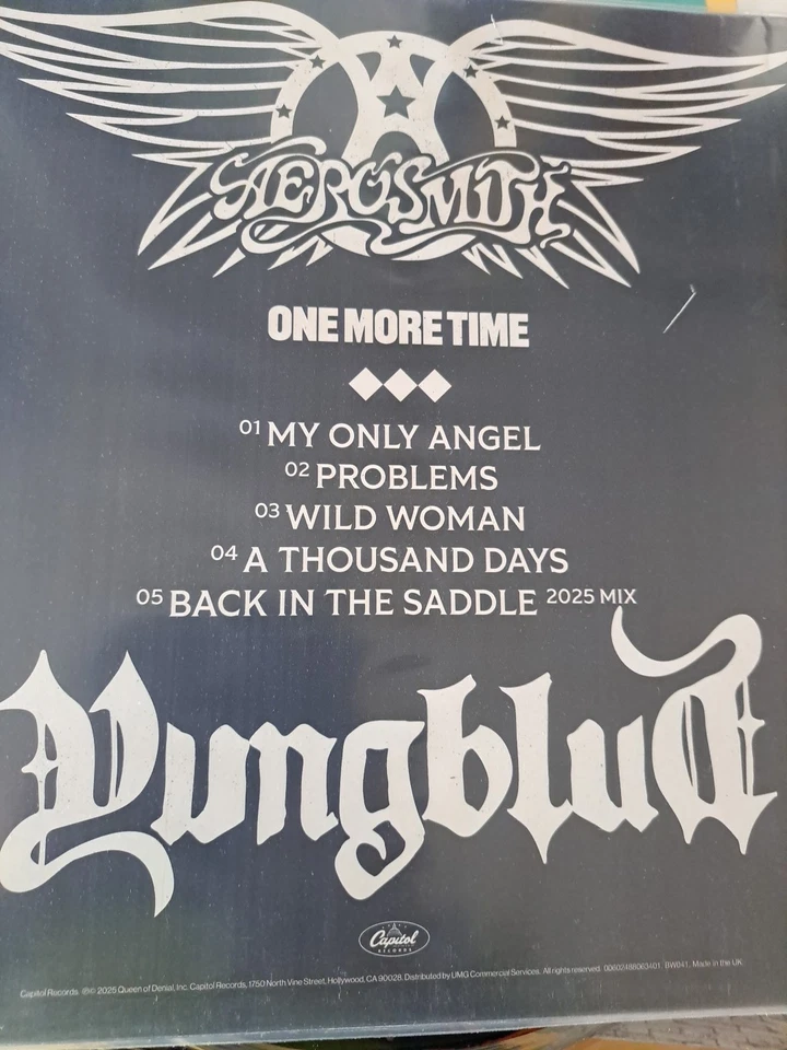 Yungblud & Aerosmith - One More Time - Bad World Blood Liquid Vinyl  - Image 4 of 4