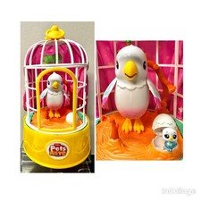 Pets Alive Polly The Magic Bird Interactive Sings Zuru