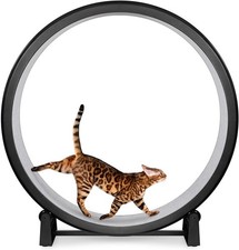 - Cat Exercise Wheel - Gen. 7 - Safe 48" Diameter - Made in The USA - Black