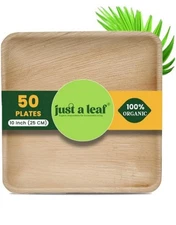 disposable plates for party