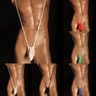 Briefs Men Briefs Men Nylon Sexy Briefs Thongs Underwear Bodysuit For Men