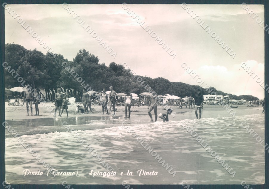Teramo Pineto Spiaggia Pineta Foto FG cartolina JK1803