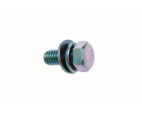 Zenoah Schraube M6X14 ZN0038