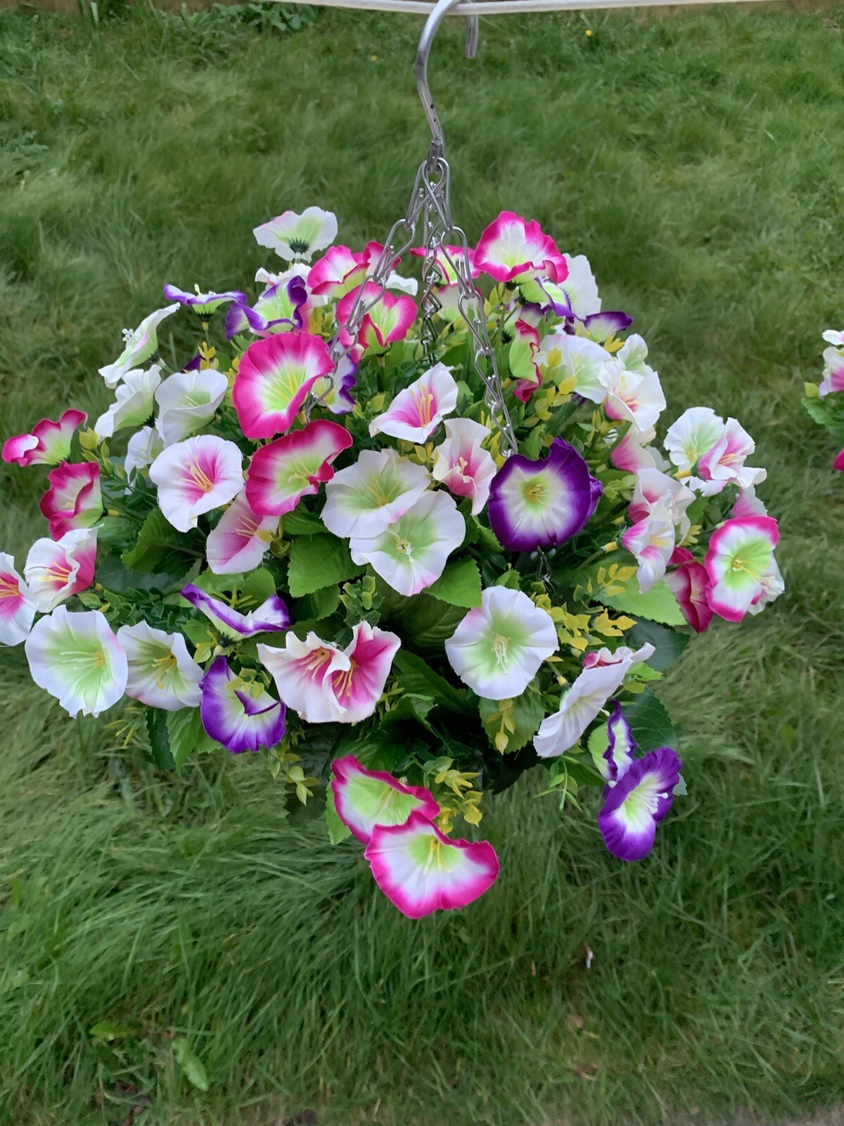 Bild 8 von 12