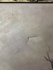 Foto 11 di 24