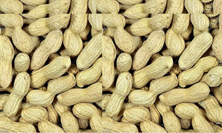 11.34kg MONKEY NUTS PEANUTS IN SHELLS Wild Bird Squirrel Parrot Food Treat