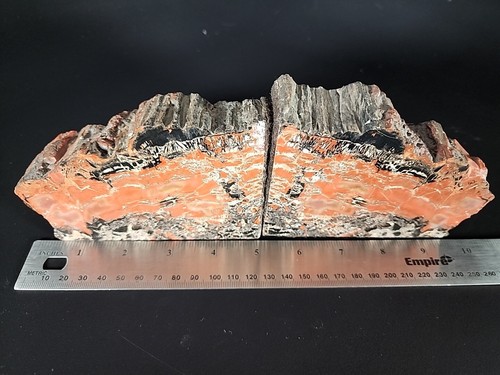 Petrified Wood Bookends Red & Black - Picture 11 of 11