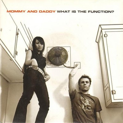 Mommy and Daddy What Is the Function? 7'' vinyl UK Big Cat 2003 pic sleeve ABB204