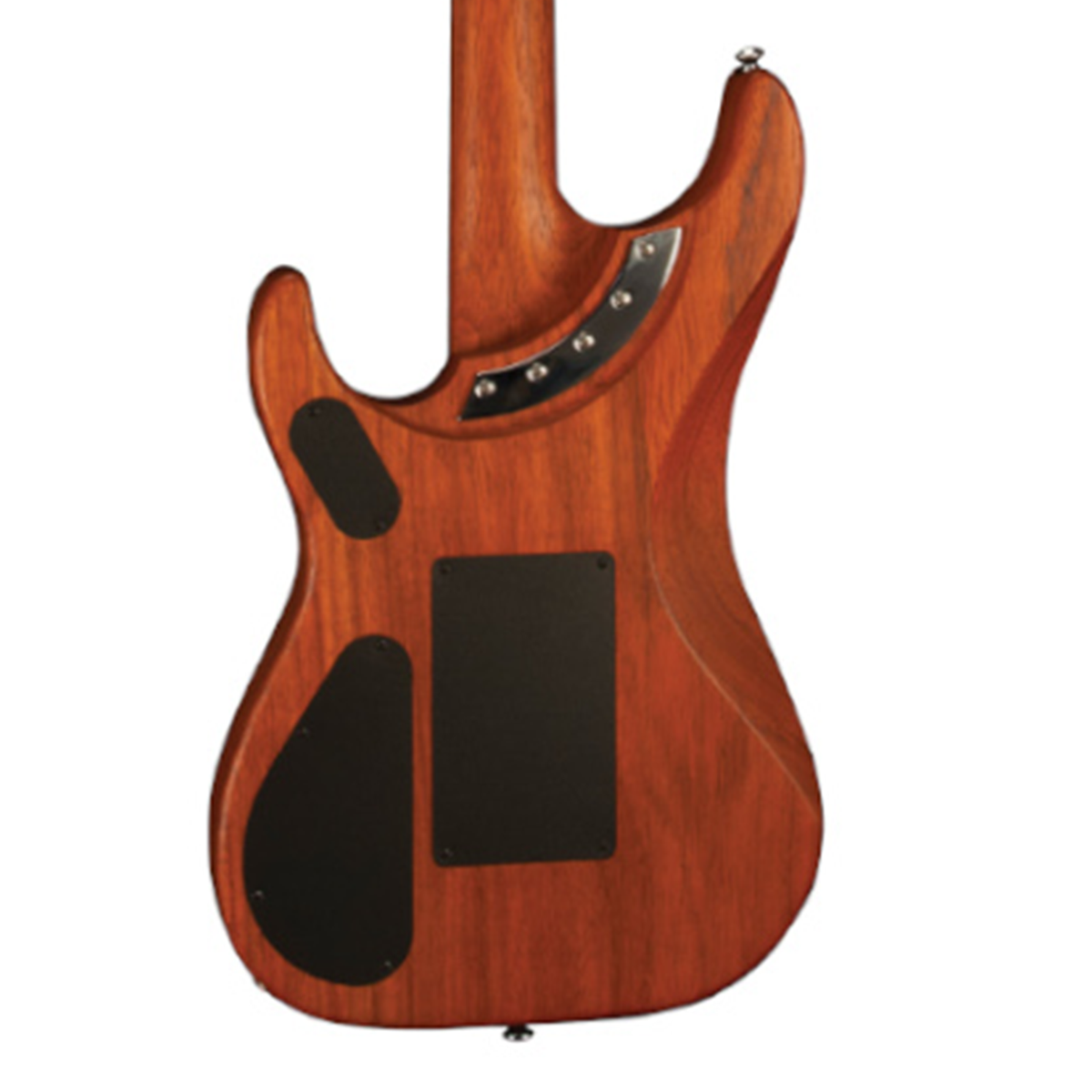 Washburn N4EPNM-D N Series N4 Nuno Bettencourt Padauk USA Natural