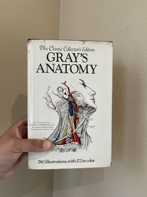 #ad VTG 1977 Gray’s Anatomy By Henry Gray $99.95