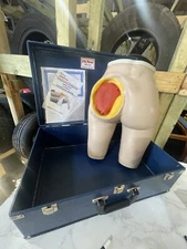 Nasco Life Form Intramuscular Injection Simulator Nursing Trainer Box