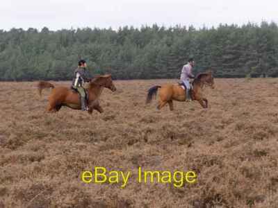 Photo 6x4 Riders on Ober Heath, New Forest North Weirs The horses are can c2006