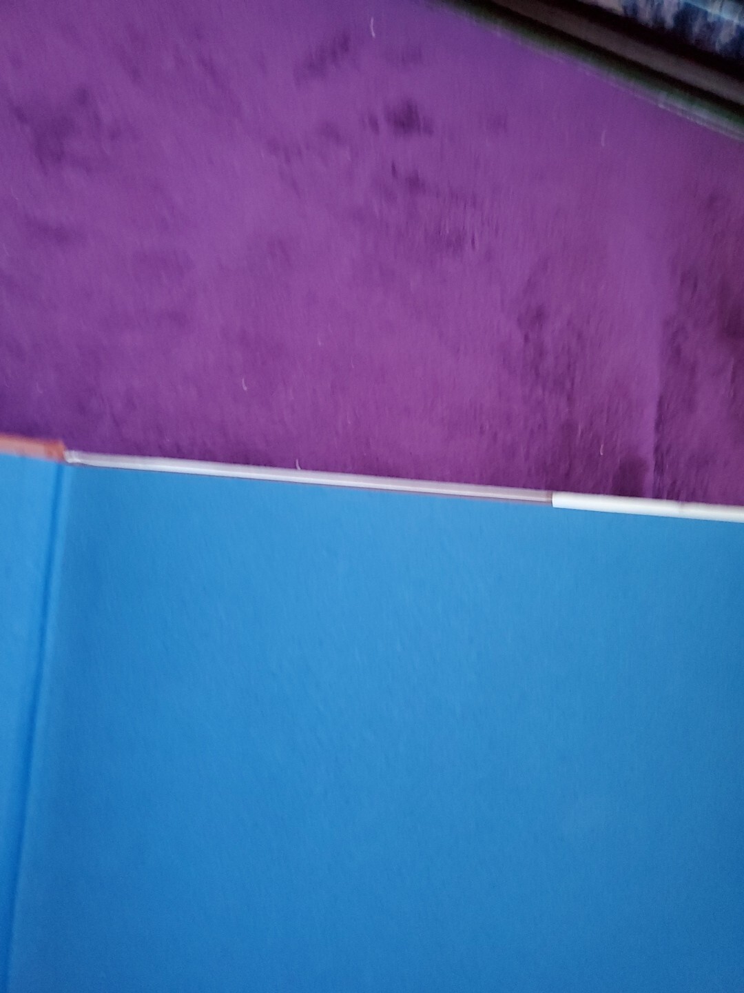 Picture 6 of 21