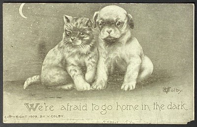 Cat Dog We're Afraid to Go Home in the Dark V Colby Vintage Postcard Posted 1911