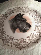 Lord Nelson Pottery England Schnauzer Dog Picture Portrait Plate
