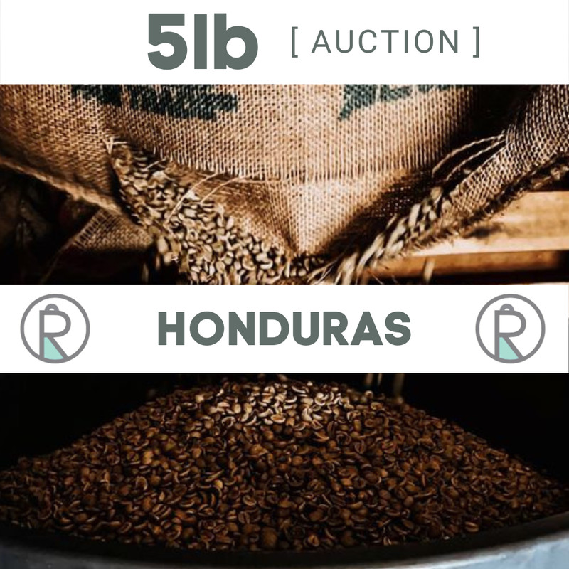 5lb Honduras Coffee Beans Unroasted Green