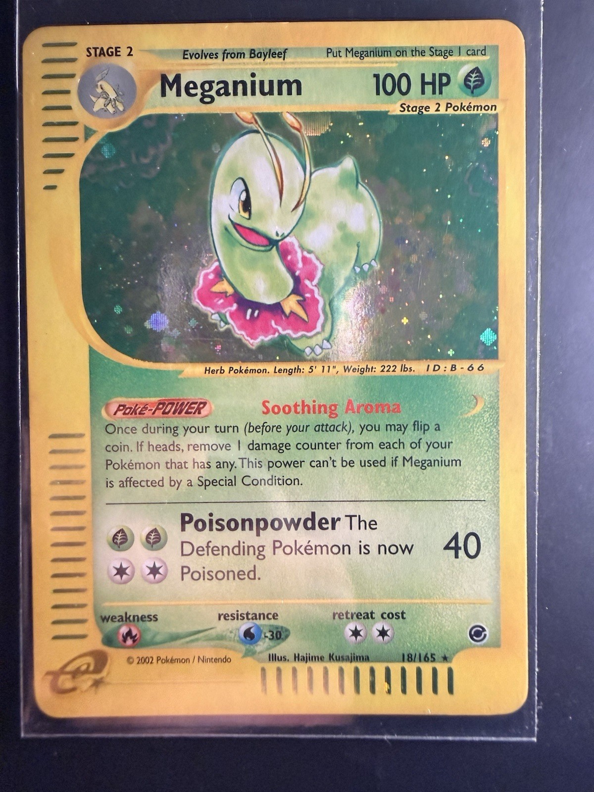 Meganium #18 Pokemon Expedition VINTAGE HOLO Excellent - NM