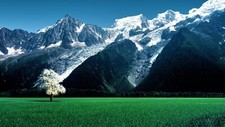 Landscape nature trees switzerland alps swiss field Custom Gaming Mat Desk