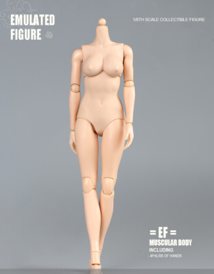 US 1:6 Female Flexible Action Figure Body Model 12in Pale Skin Large Breast Toys