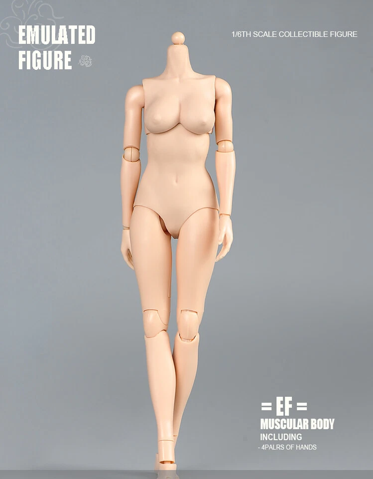 US SOTCK 1:6 Female Pale Skin Large Breast 12inch Flexible Figure Body Model Toy - Image 3 of 4
