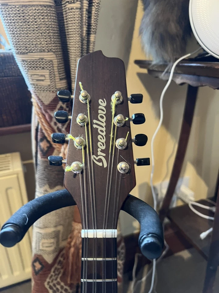 Breedlove Crossover 00 NAT Mandolin Rare Great Condition Thomastik Strings - Image 2 of 4