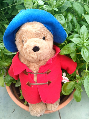 Paddington Bär schwedisches Teddyspielzeug REd Mantel blau Mütze sicher gemacht bestickte Augen