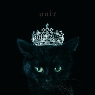 Aimer BEST SELECTION noir Black ver. 2017 Album CD New w/Tracking No.