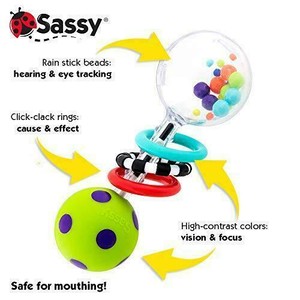 sassy spin shine rattle