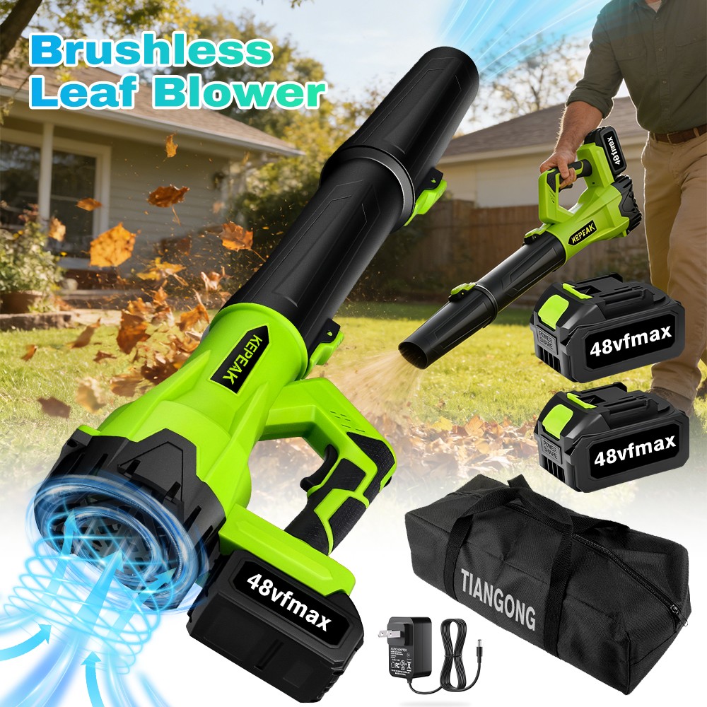 6 Speed Levels Electric Air Blower With 2batteries