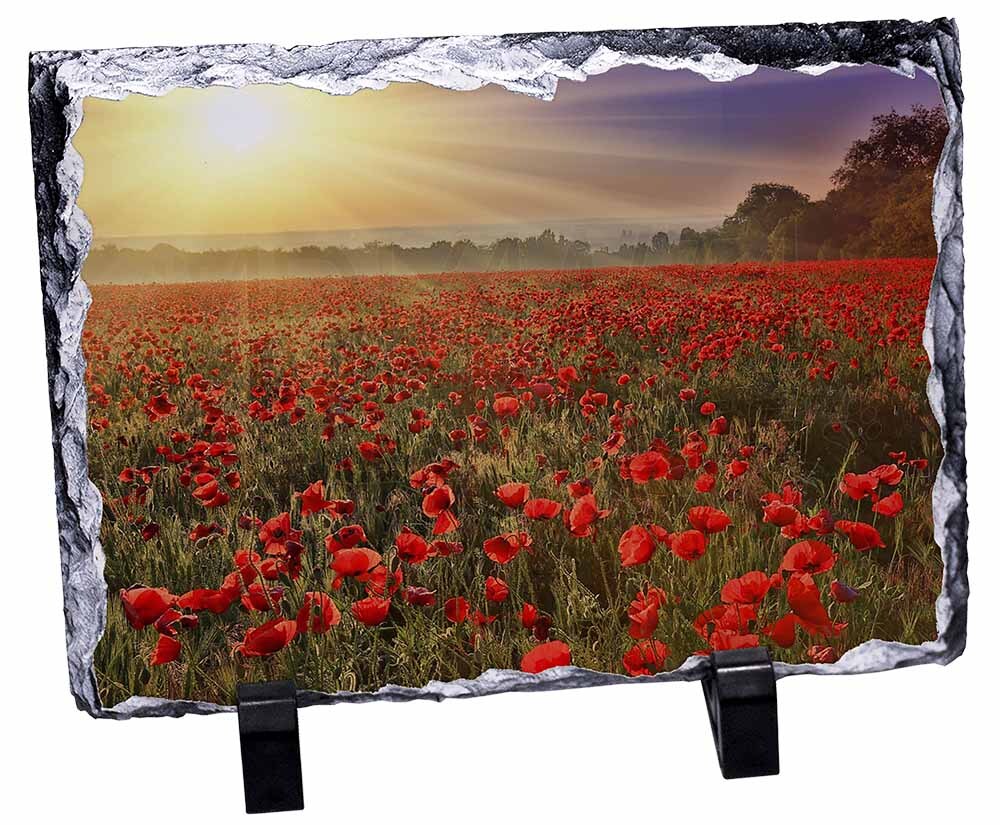 Poppies, Poppy Field at Sunset, Stunning Animal Photo Slate, FL-32SL | eBay
