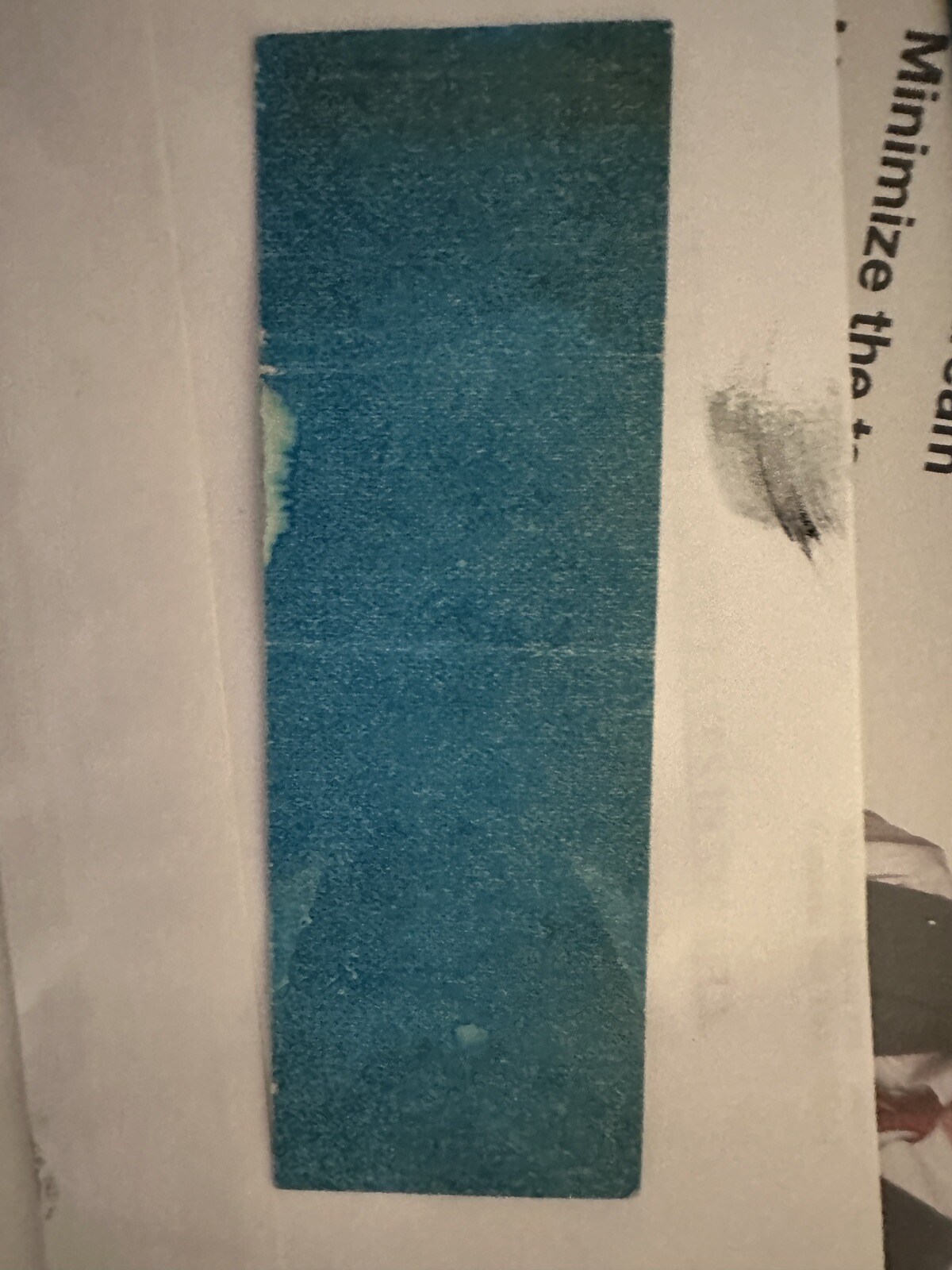 Picture 8 of 8