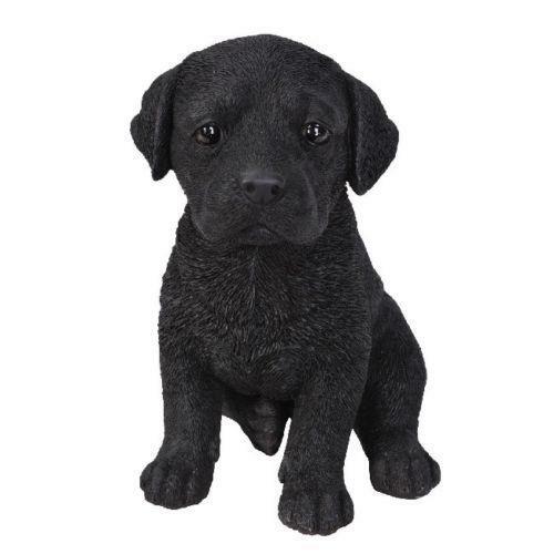 NEW Black Labrador Puppy Pet Pals Vivid Arts - Picture 1 of 1