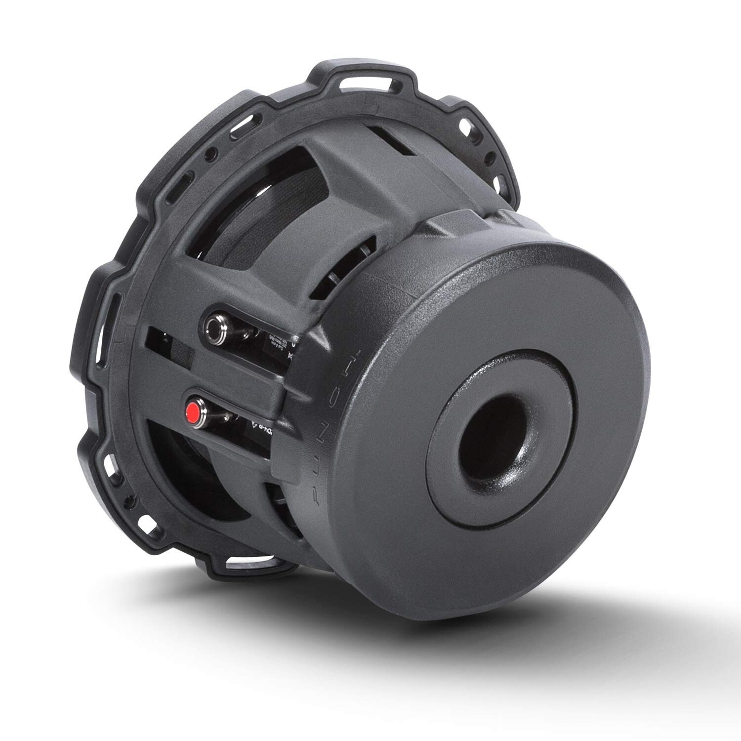 Rockford Fosgate Punch P2D2-10 Dual 2-Ohm Voice Coil 10'' Bass Subwoofer