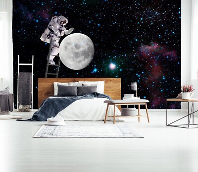 3D Mond Astronaut M7489 Tapete Wandbild Selbstklebend Abnehmbare Aufkleber Romy