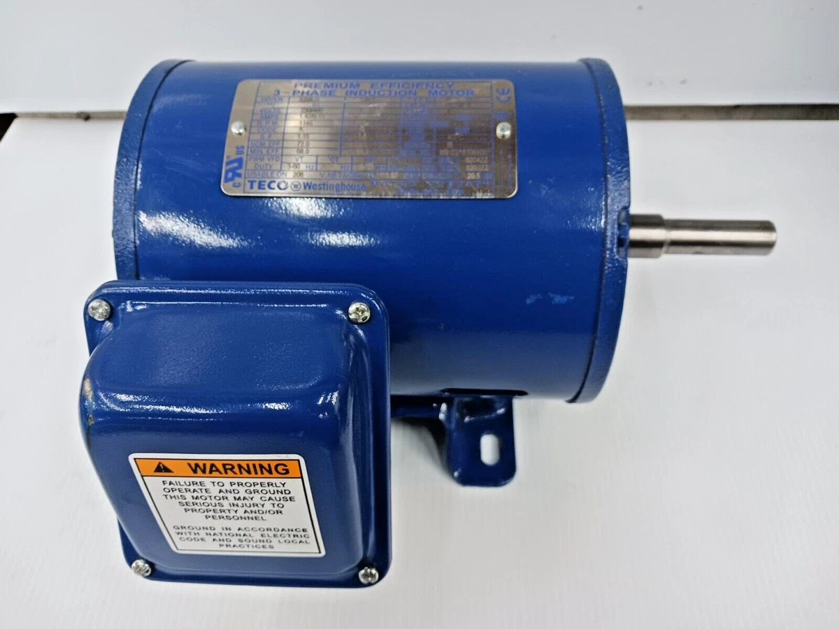 Motore Elettrico Westinghouse Doppio Albero 1/8 HP - Nuovo, Eccellenti Condizioni