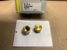 Lot of 2, Parker X213P-8 Brass Pipe Caps