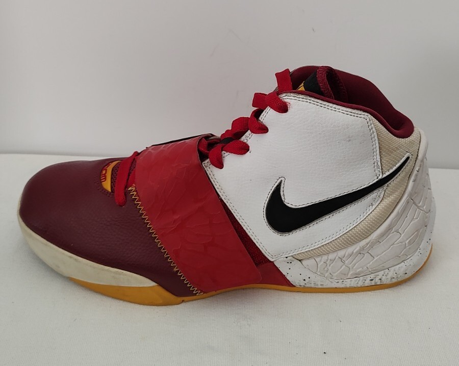 NIKE Zoom Dunk Hoop Basketball Shoes 324917-102 Men Sz 13  display picture 1