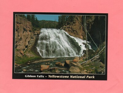 Yellowstone National Park Gibbon Falls Postcard ~ New Unused